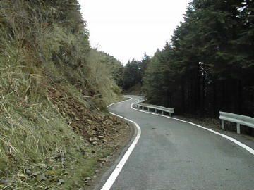 東川千本谷林道