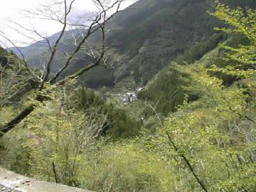 東川千本谷林道