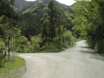 東川千本谷林道