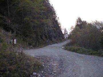 弘沢林道