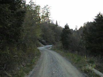 弘沢林道