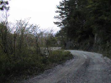 弘沢林道