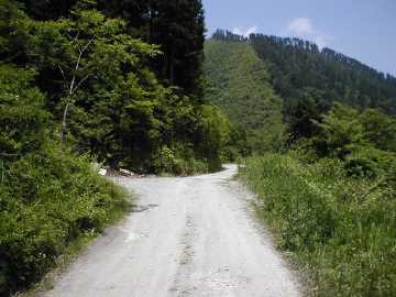 弘沢林道