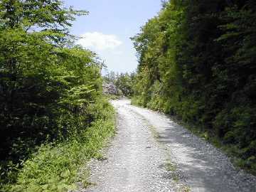 弘沢林道