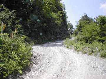弘沢林道