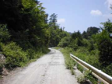 弘沢林道