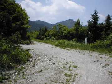 弘沢奥大野越林道