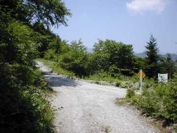 弘沢奥大野越林道