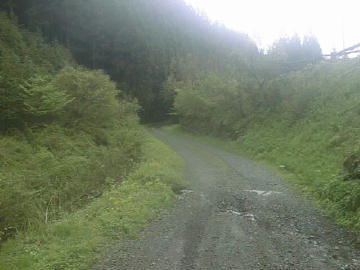 本も谷林道