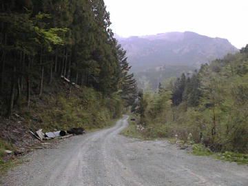 伊留谷林道