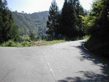 一の谷脇の山林道