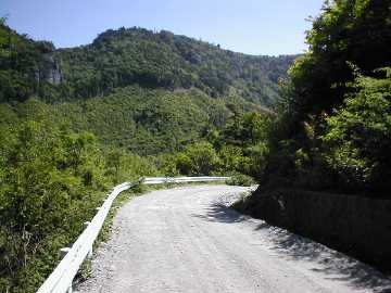 一の谷脇の山林道