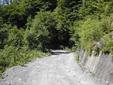 一の谷脇の山林道