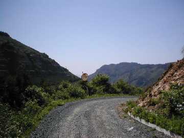 一の谷脇の山林道