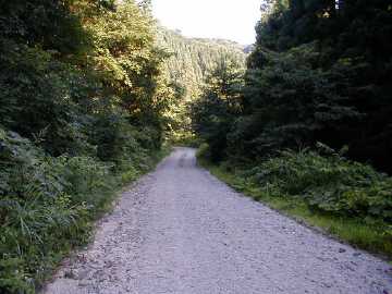 タタラ沢支線林道