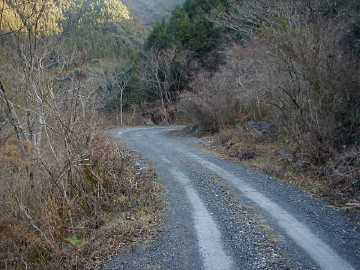 蛇谷林道