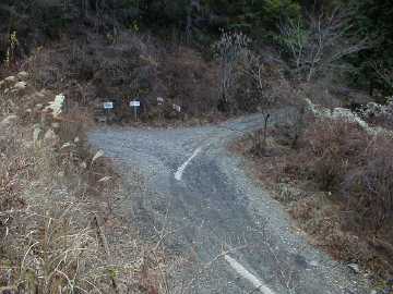 蛇谷林道
