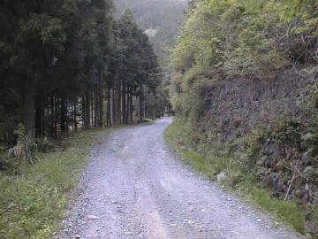 楮左古小檜曽林道