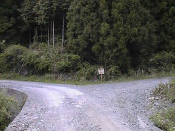 楮左古小檜曽林道