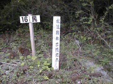 楮左古小檜曽林道