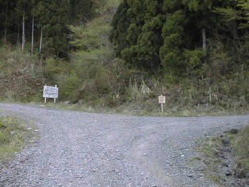 楮左古小檜曽林道
