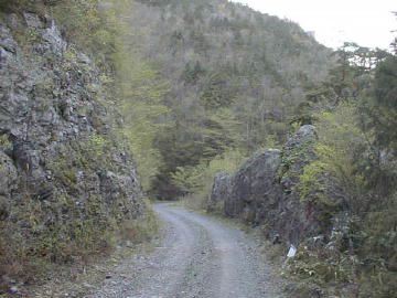 楮左古小檜曽林道