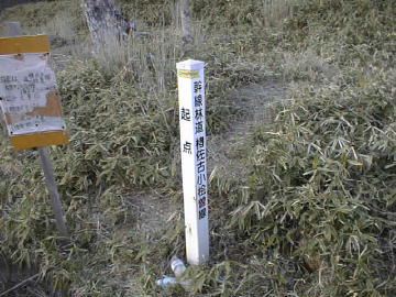 楮左古小檜曽林道