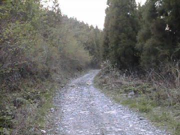 楮左古小檜曽林道