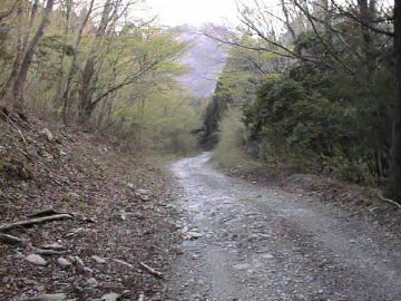 楮左古小檜曽林道