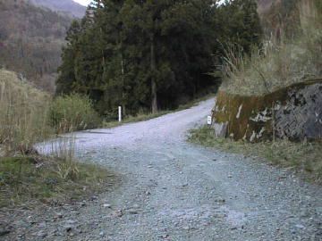 楮左古小檜曽林道