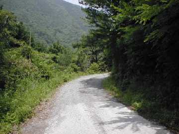 楮左古小檜曽林道