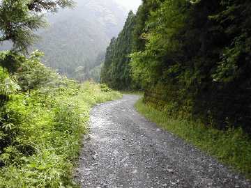 楮左古小檜曽林道