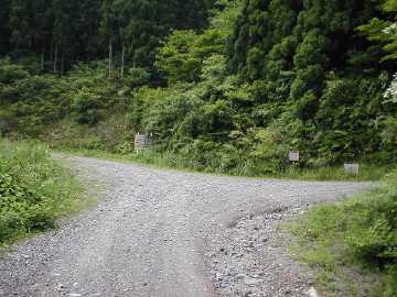 楮左古小檜曽林道