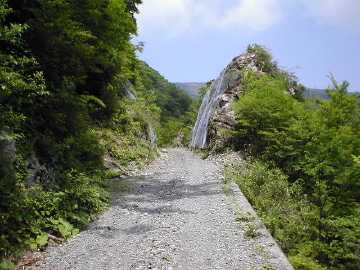 楮左古小檜曽林道