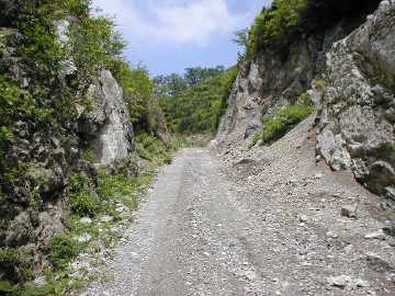 楮左古小檜曽林道