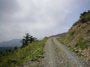 楮左古小檜曽林道