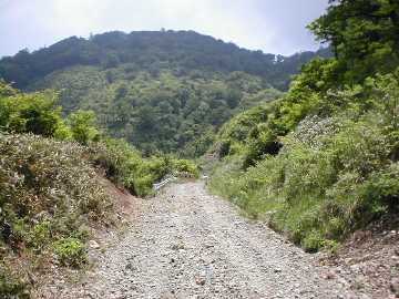 楮左古小檜曽林道