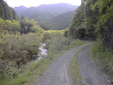 玖木山林道