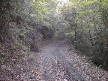 玖木山林道