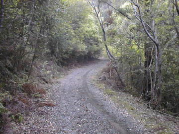 玖木山林道