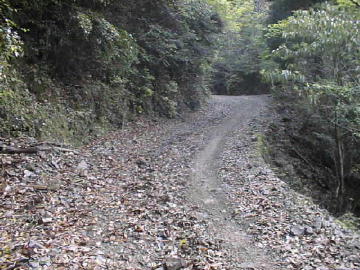 玖木山林道