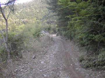 玖木山林道