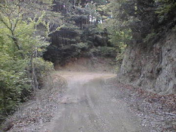 玖木山林道