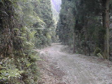 玖木山林道