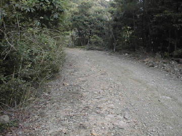 玖木山林道