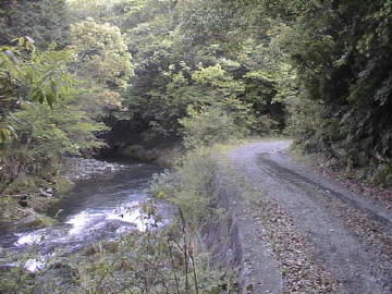 玖木山林道