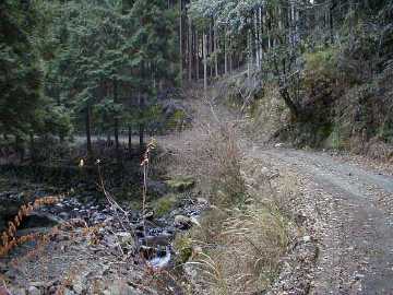 玖木山林道