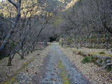 玖木山林道