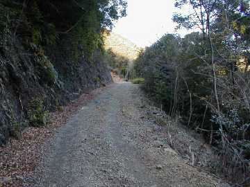 玖木山林道