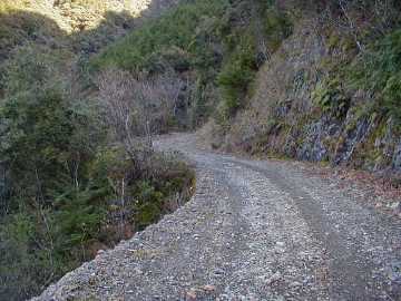 玖木山林道
